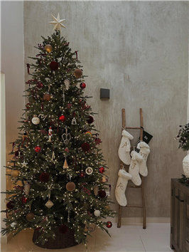 Festive Christmas Tree Ideas