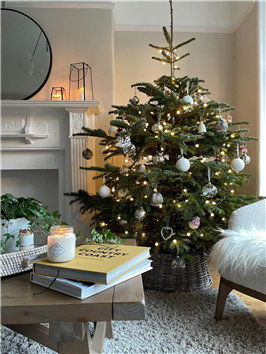 Cozy Christmas Tress Decor